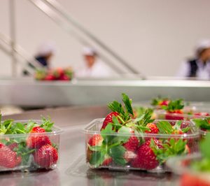 Los beneficios de Surexport crecen a doble dígito por quinto año consecutivo