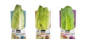 Comfresh presenta la versión más vegetal del wrap