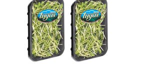 Los germinados‘Tugas’ miran al exterior