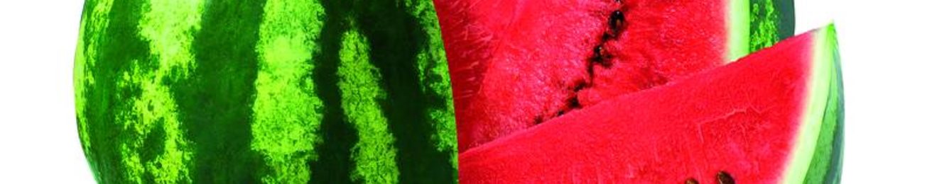 Informe 2019 sobre el sector de Melón y Sandía