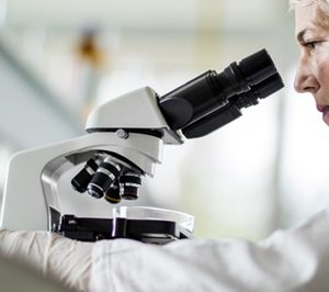 Werfen cierra 2018 con un crecimiento del 5% y alcanza los 1.359 M