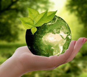 ¿Cambiará la moda ecológica el lineal de productos de limpieza?