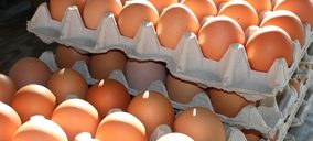 El fondo Master Gallus adquiere Dagu, la segunda productora de huevos del país