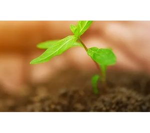 Cerealto Siro Foods aprueba en materia de sostenibilidad