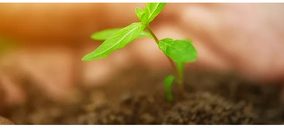 Cerealto Siro Foods aprueba en materia de sostenibilidad