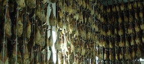 Pedro Diego impulsa su actividad mientras se tramita su concurso