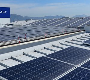 La Niña del Sur invierte 2 M€ en una nueva línea de pizzas