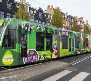 WAO proyecta inversiones para impulsar el consumo de aguacate en España