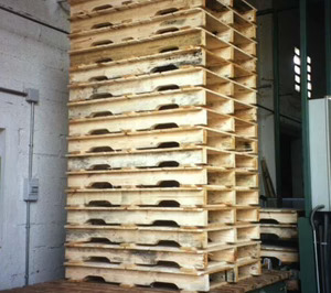 Juan Arnal incrementa sus ingresos