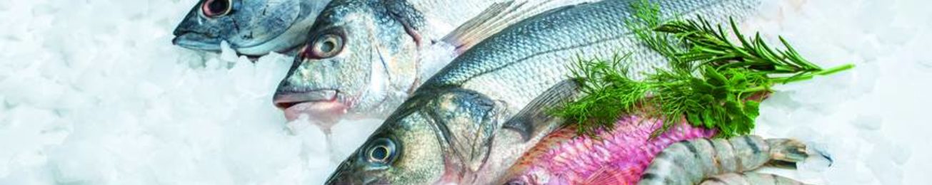 Informe 2019 del sector de pescado y marisco congelado