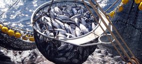 El sector pesquero redujo su nivel de capturas un 1,9% en 2018