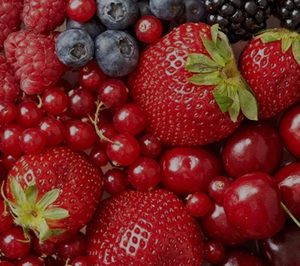 Agrocongelados La Cuerva ultima su nueva planta