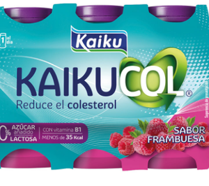 Kaiku basa su estrategia en la innovación