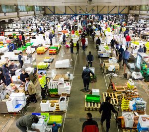 Una mayorista hortofrutícola, en concurso