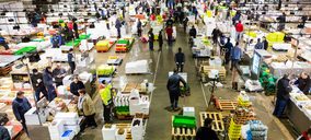 Una mayorista hortofrutícola, en concurso