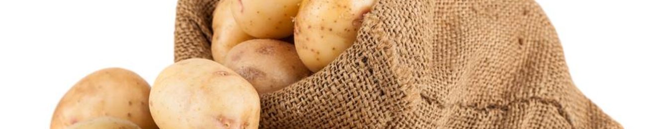 Informe 2019 sobre el sector de patata