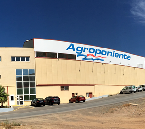 Agroponiente incorpora nueva maquinaria de calibrado de melón y sandía