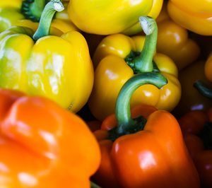 Campojoyma incrementará su volumen comercial la próxima campaña