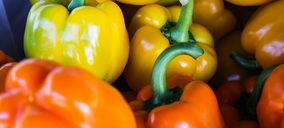 Campojoyma incrementará su volumen comercial la próxima campaña