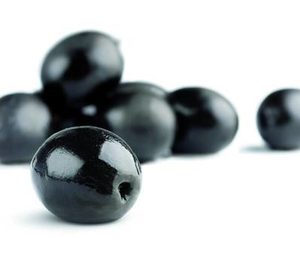 Asemesa denuncia pérdidas millonarias y la falta de ayudas al sector de la aceituna