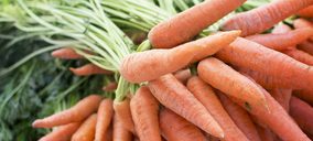 Coop. Virgen del Rocío prepara la puesta en marcha de su nueva nave de manipulación