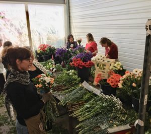 Anecoop se diversifica en Francia con la especialista en floricultura FlorenSud