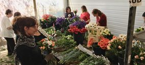 Anecoop se diversifica en Francia con la especialista en floricultura FlorenSud
