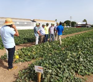 Nunhems presenta sus novedades para los mercados de melón y sandía