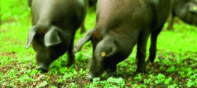 Vendida la unidad productiva de un fabricante de elaborados de ibérico