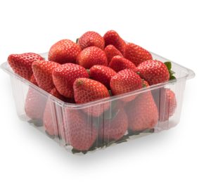 Polisur 2000 sigue invirtiendo en sus nuevos negocios