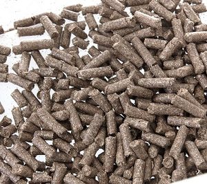 Mahou San Miguel instalará una planta 100% solar para gestionar el bagazo