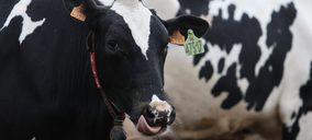 Nestlé recibirá leche ecológica para sus alimentos infantiles