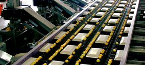 Hijos de Alberto del Cerro ya opera en su nueva planta para limón ecológico