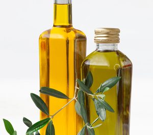 La producción de aceite de oliva se reducirá un 40%, tras el récord de 2018/2019
