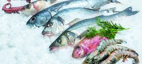 Pescado y Marisco congelado: todas las miradas puestas en un sector en plena expansión