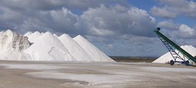 Infosa obtendrá 100.000 t de sal marina en 15 días