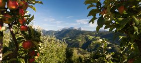 Buenas perspectivas para VOG en el comienzo de temporada