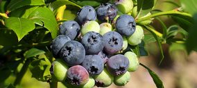 Euromed aumenta su capacidad de extracción en Murcia