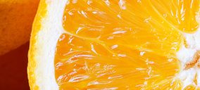 Mane Ibérica aumenta su facturación pero disminuye su beneficio