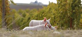 La cooperativa Ceji entra en preconcurso para buscar una solución a su planta de piensos