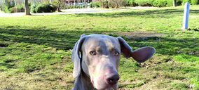 Distrivet entra en petfood de la mano de Holapet