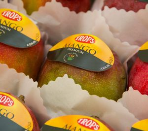 Trops se consolida como la mayor productora de mango de España