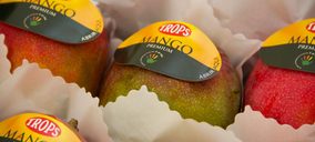 Trops se consolida como la mayor productora de mango de España