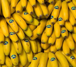 El Brexit pone en peligro las exportaciones de plátano a Reino Unido