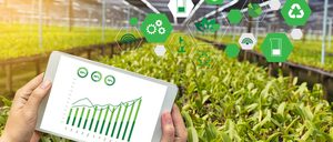 Las previsiones de crecimiento acentúan la innovación en el sector hortofrutícola