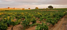 Las DO españolas se adaptan a las nuevas tendencias