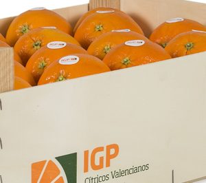 15 nuevas firmas se incorporan a IGP Cítricos Valencianos