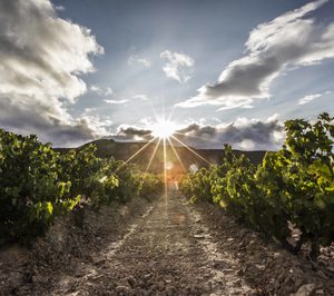 El sector agroalimentario se une frente a los aranceles