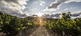 El sector agroalimentario se une frente a los aranceles