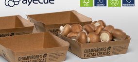 Ayecue apuesta por bandejas de cartón 100% sostenibles